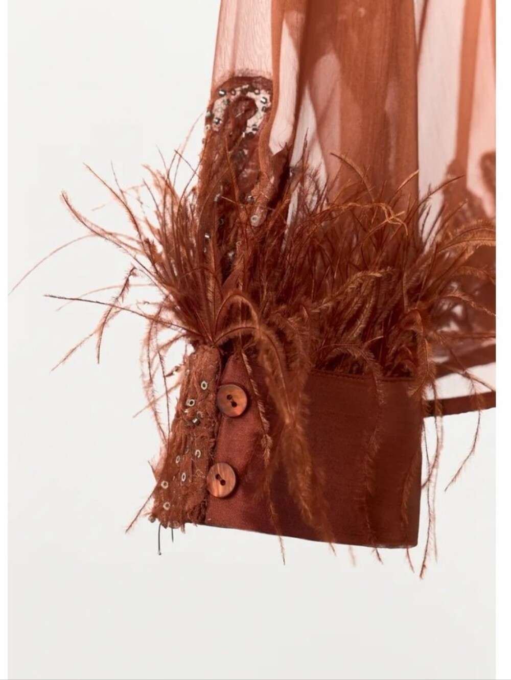 Zara Semi-sheer Floral Beaded Embroidery Feathered Long Sleeve With Front Button - Picture 4 of 11